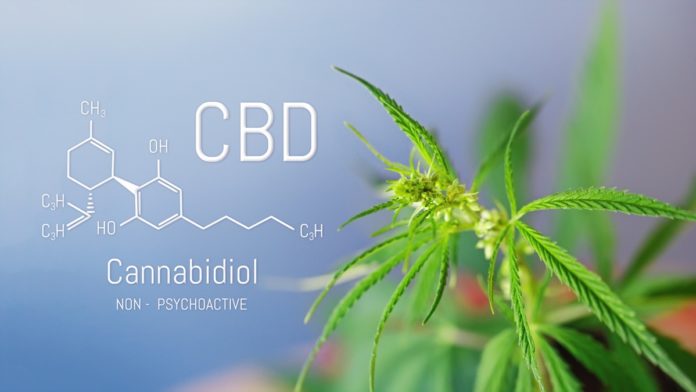 CBD-olaj mire jó az emberi szervezet számára?