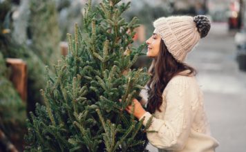 Fenyőrügy szirup és méz elkészítése recepttel fenyőrügy