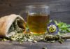 Zöld tea reggel vagy este zöld tea