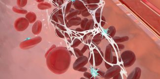 lymphocyta