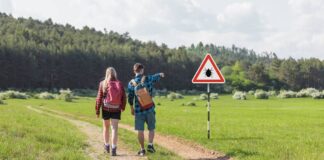 Összeszedtem egy kullancsot! – tanácsok a gyors eltávolításhoz kirándulás